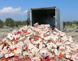Росія знищила майже 9 тис. тонн санкційних продуктів